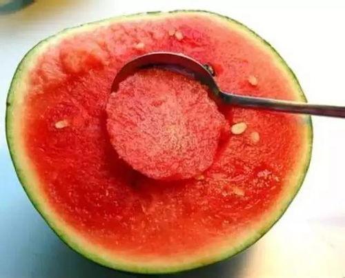 娱乐吃瓜酱雪玫瑰,娱乐吃瓜酱的甜蜜诱惑